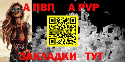 шишки Обь