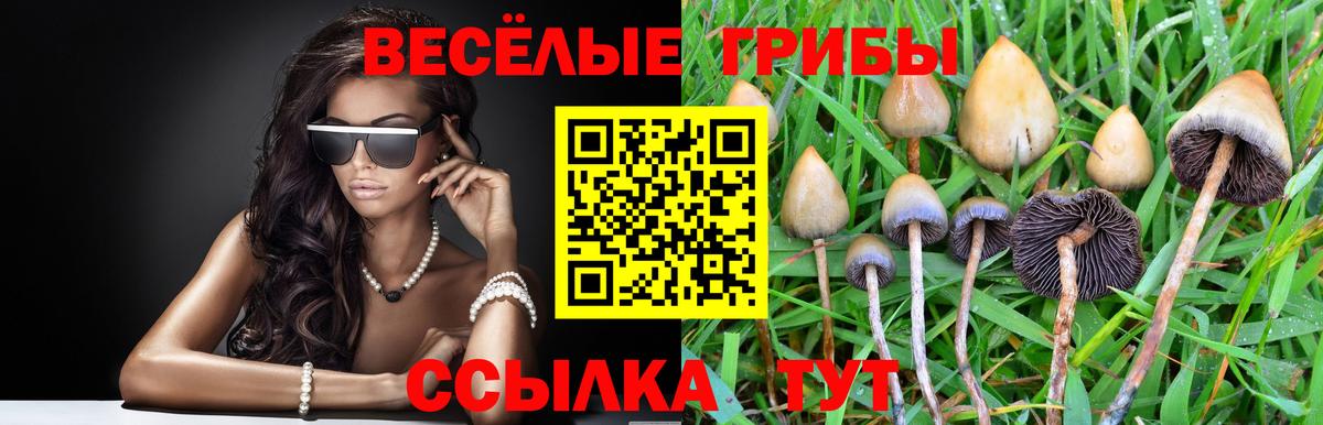 Спасск-Дальний  Галлюциногенные грибы MAGIC MUSHROOMS  Вход с VPN 